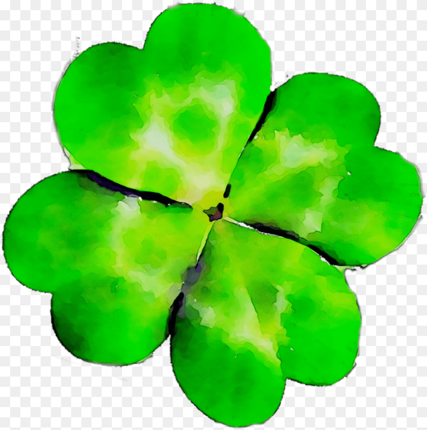 Shamrock, Flower, Geranium, Leaf, Petal PNG