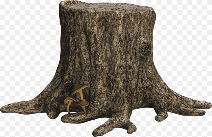 1217x787 Tree Stump Image With Tree Stump, Plant, Tree Stump, Fungus, Animal Transparent PNG