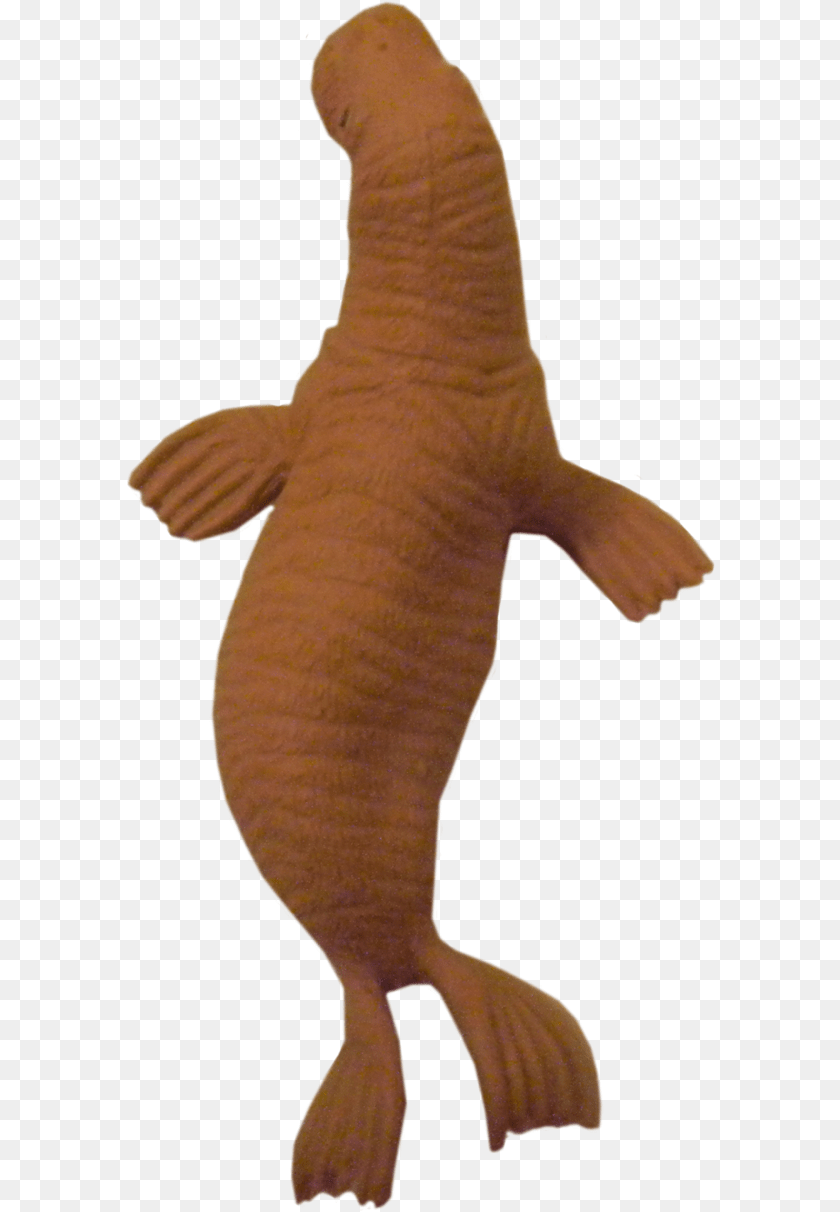 Download Walrus Clipart, Aquatic, Water, Baby, Person Transparent PNG