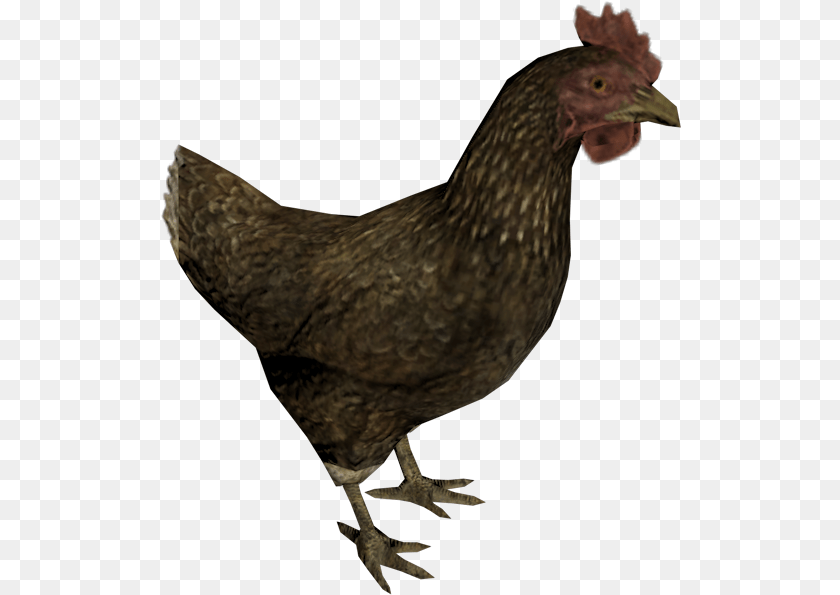 Zip Archive Skyrim Chicken, Animal, Bird, Fowl, Hen Clipart PNG