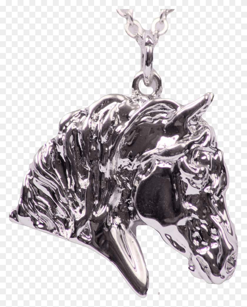 1035x1305 Draft Horse Head Pendant, Crystal, Outdoors, Nature HD PNG Download