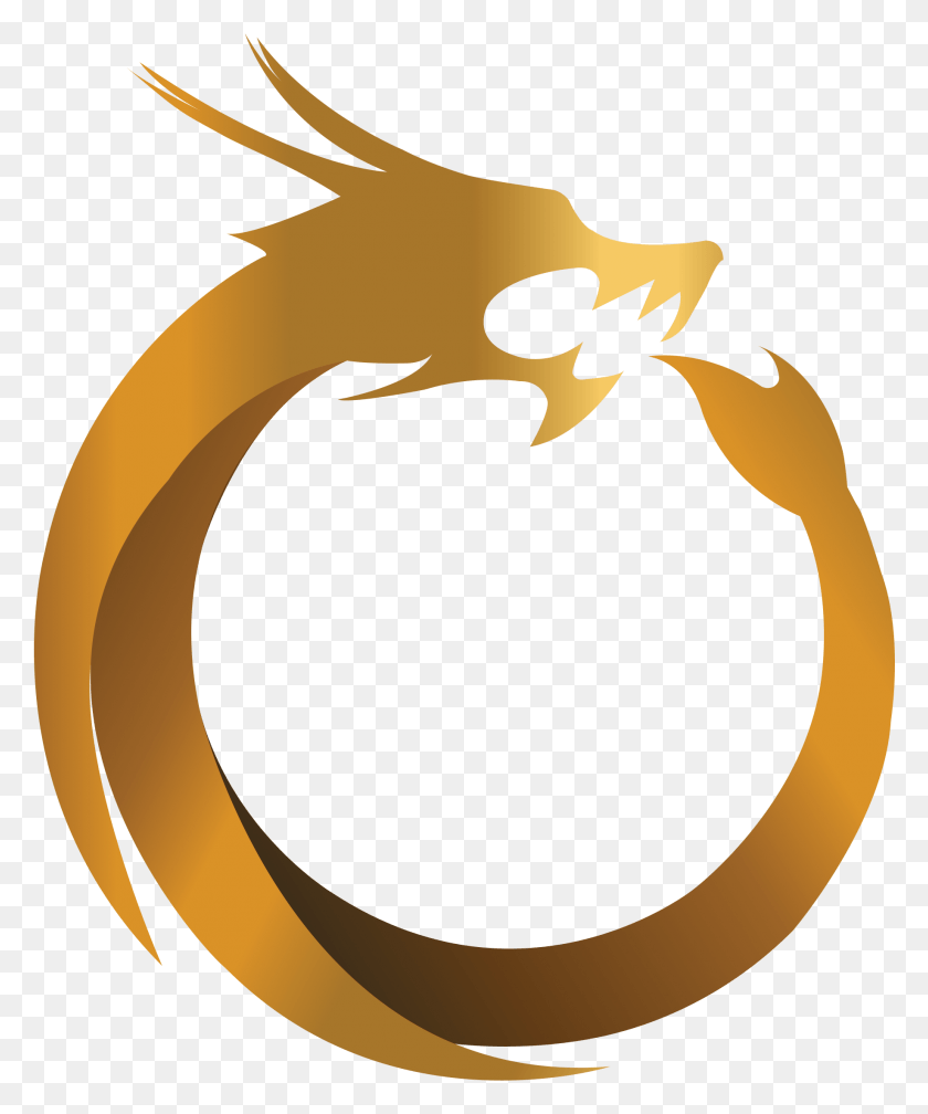 1837x2233 Dragon Coin HD PNG Download