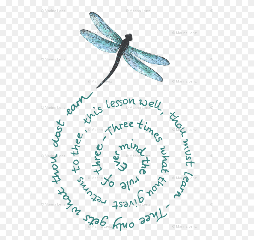570x734 Dragon Fly Espiral Damselfly, Invertebrado, Animal, Insecto Hd Png