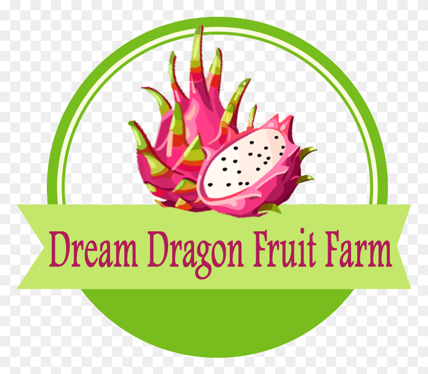 777x674 Dragon Fruit Dragon Fruit Logo, Plant, Food, Porcelain HD PNG Download