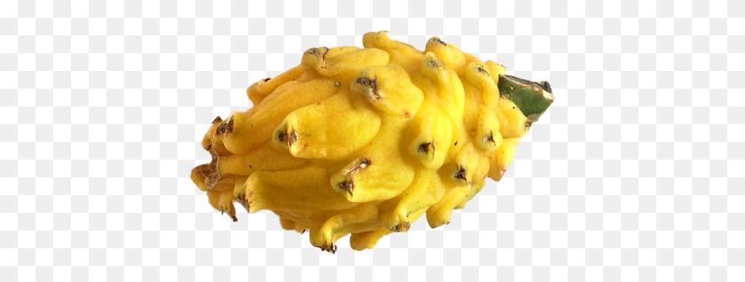 414x258 Dragon Fruit Horned Melon, Food, Fungus, Plant HD PNG Download