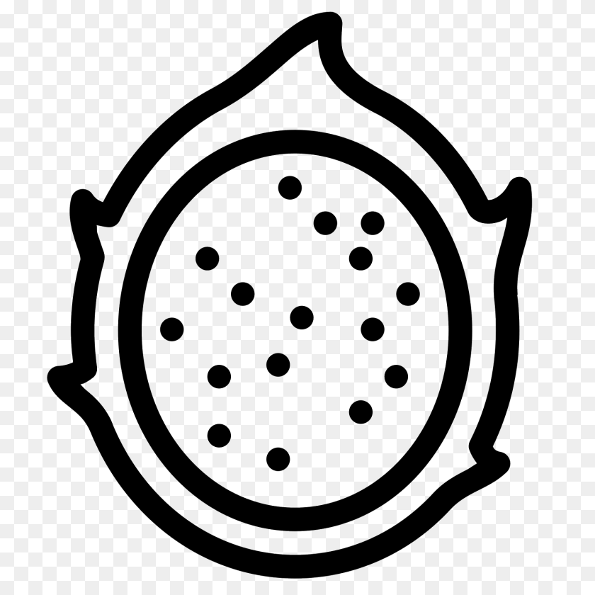 1600x1600 Dragon Fruit Icon, Gray Transparent PNG