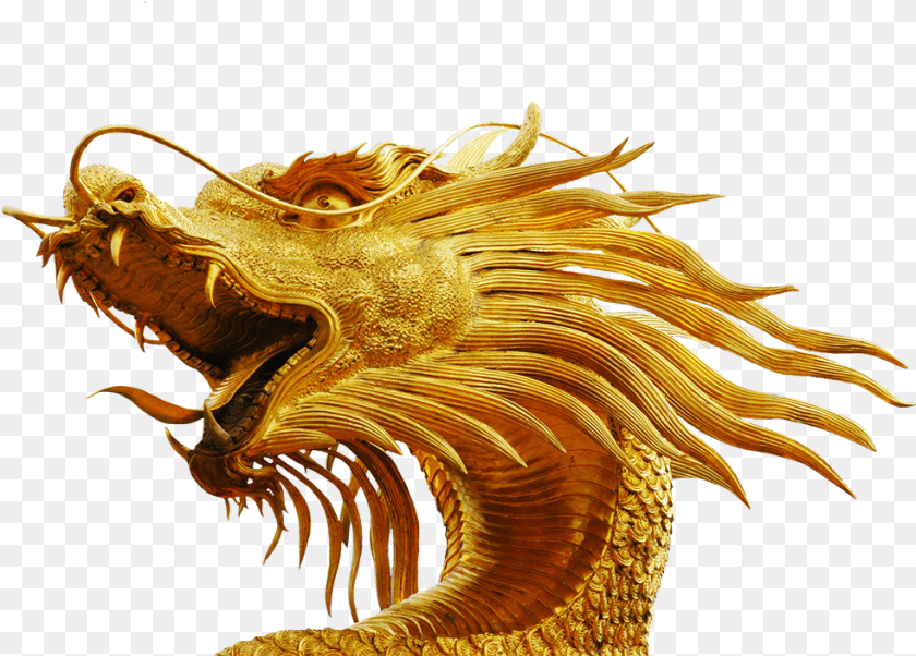 Dragon Head 5 Image Dragon Head No Background, Animal, Dinosaur, Reptile PNG