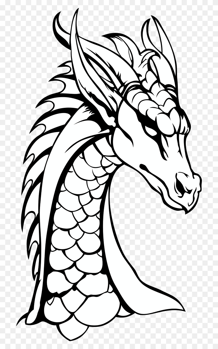 716x1280 Dragon Neck The Head Of The Dragons Black And White HD PNG Download