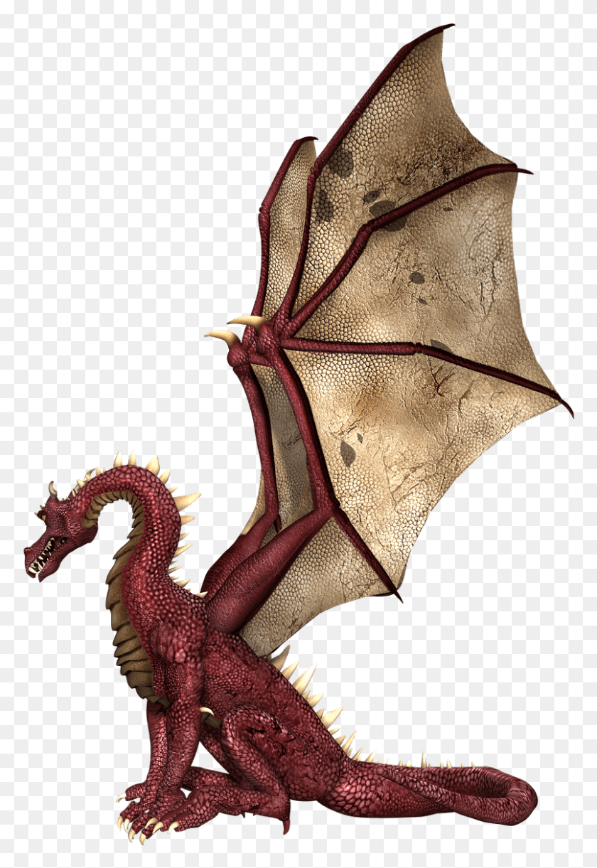 804x1197 Dragon Red And Brown Wings Sitting Drakon Krilya, Person, Human HD PNG Download