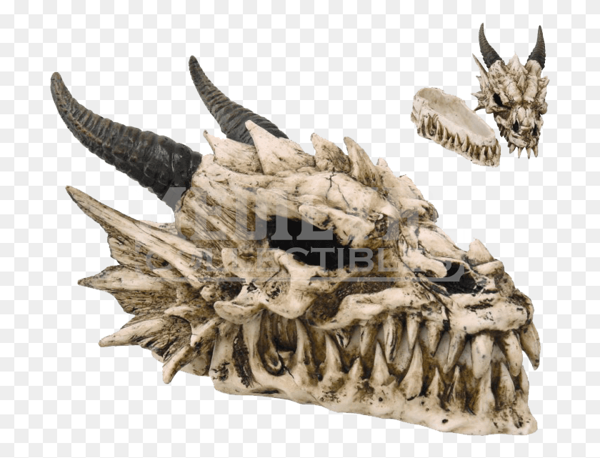 701x581 Cráneo De Dragón Png / Cráneo De Dragón Hd Png
