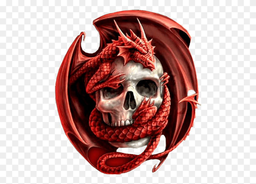 482x543 Dragon Skull Skull And Dragon HD PNG Download