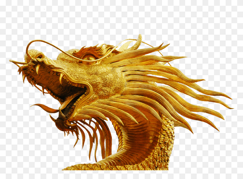982x704 Дракон Вектор Голова Золотого Дракона Без Фона, Динозавр, Рептилия, Животное Hd Png Скачать