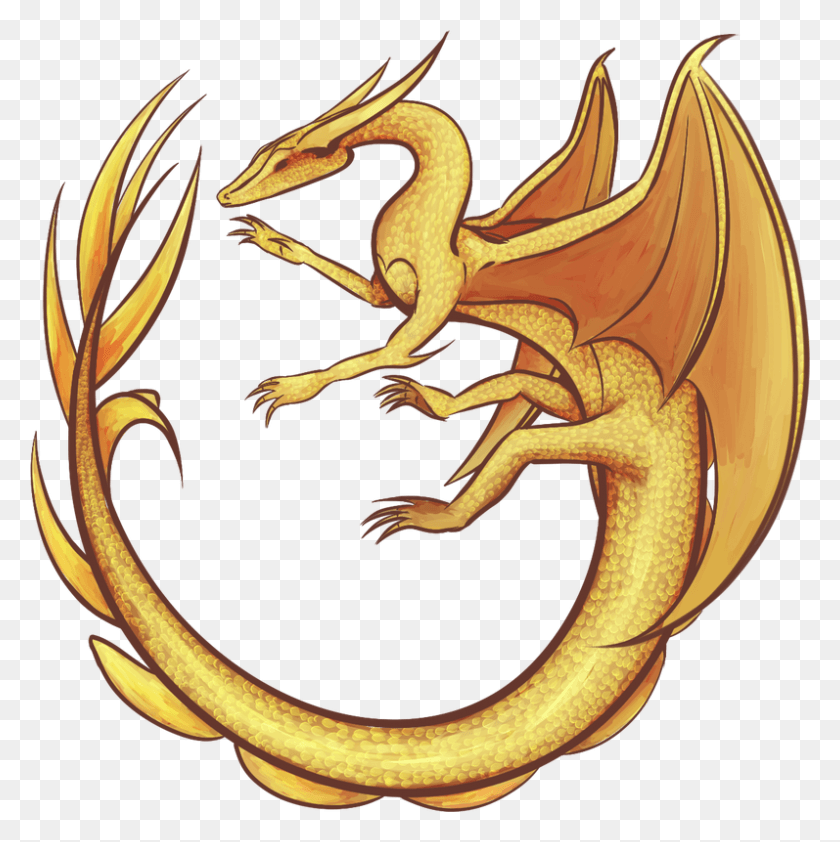 797x800 Dragon Vector Golden Dragon No Background, Snake, Reptile, Animal HD PNG Download