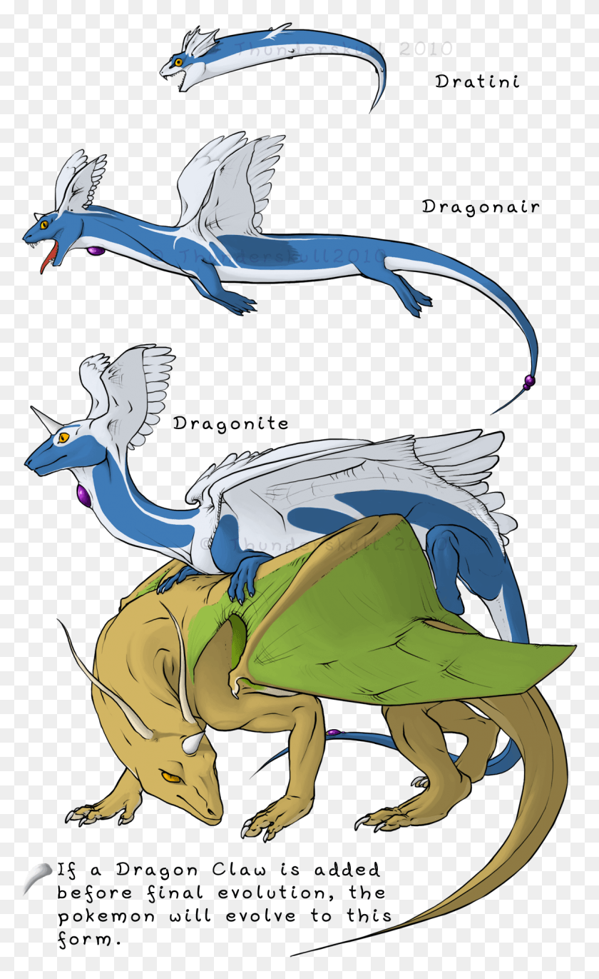 1153x1938 Dragonair Fake Evolution Диаграмма Эволюции Дратини, Животное, Птица, Дракон Png Скачать