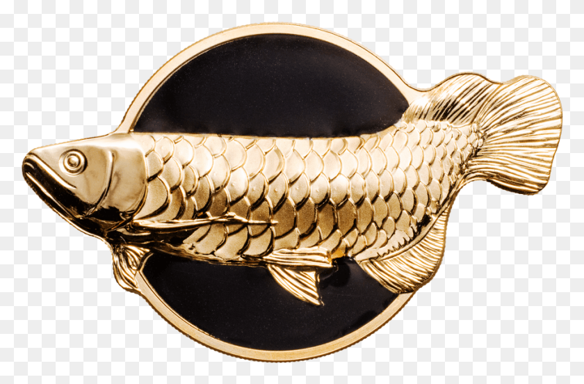 907x573 Dragonfish Golden Arowana Arowana Dragonfish Coin, Bronze, Gold, Snake HD PNG Download