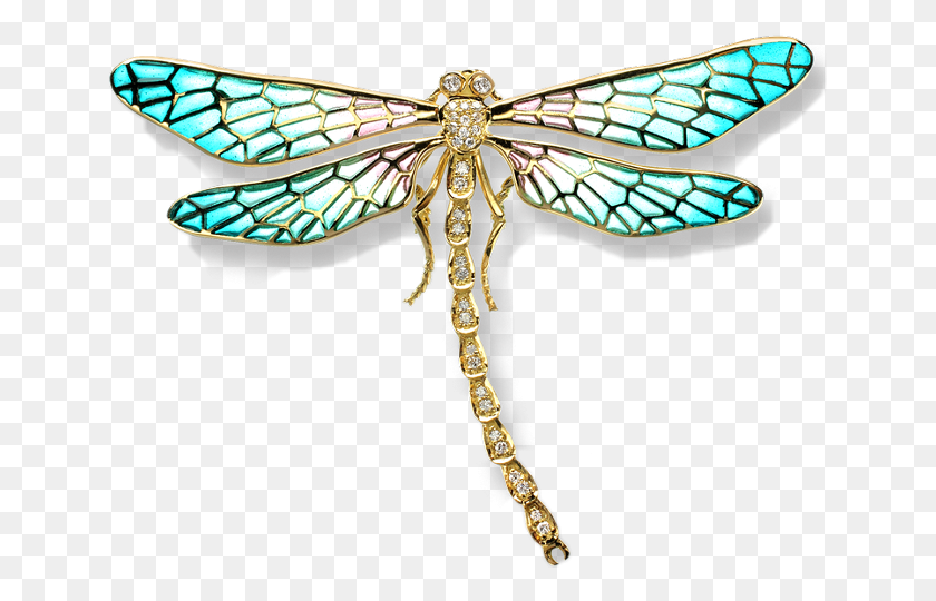 645x480 Dragonfly, Insect, Invertebrate, Animal HD PNG Download