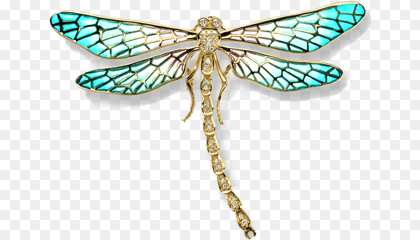 Dragonfly, Animal, Accessories, Jewelry, Insect Clipart PNG