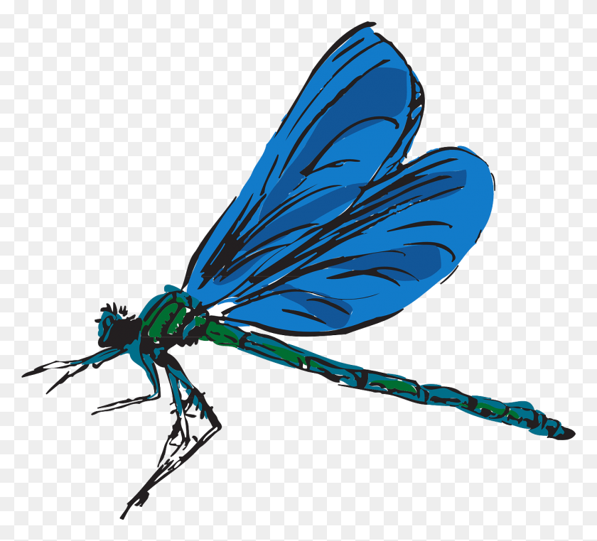 1280x1153 Dragonfly Art Images 299 X 270 Px Dragonfly Clipart, Insect, Invertebrate, Animal HD PNG Download