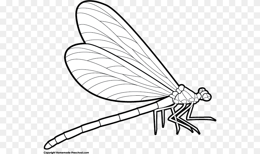 559x499 Dragonfly Clip Art In Black And White Clip Art, Animal, Insect, Invertebrate, Smoke Pipe PNG