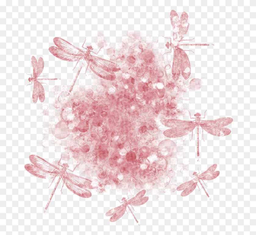 690x712 Dragonfly Masked Textures 800 X 800 Free To Dragonfly, Graphics, Floral Design HD PNG Download