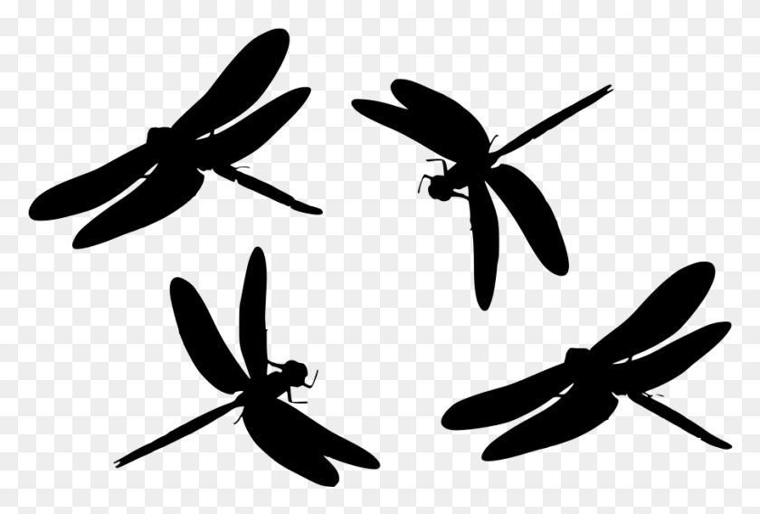 905x590 Dragonfly Svg, Gray, World Of Warcraft HD PNG Download