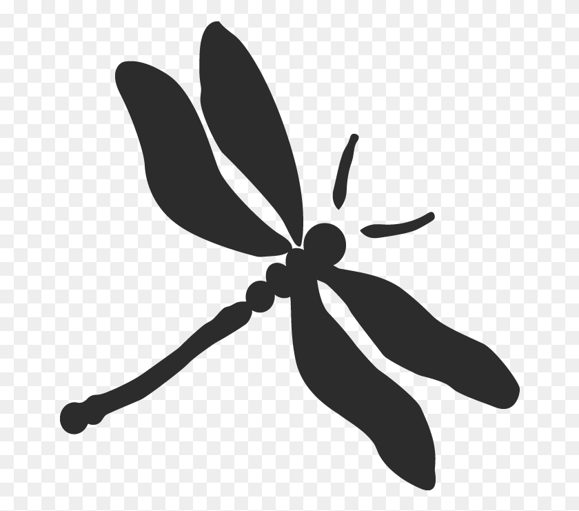 668x681 Dragonfly Transparent Photo Image Card From Dragonfly Silhouette Black And White, Invertebrate, Animal, Insect HD PNG Download