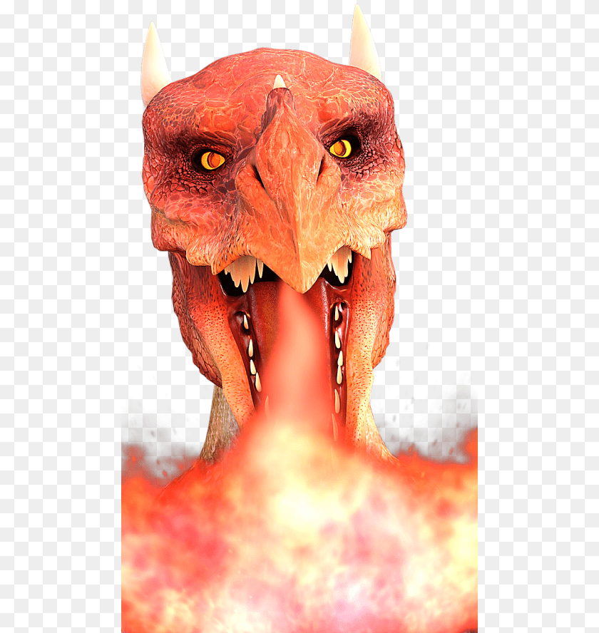 500x888 Dragonsfiredragon Firemythical Creaturesfire Breathing Dragon Fire Logo, Animal, Bird PNG