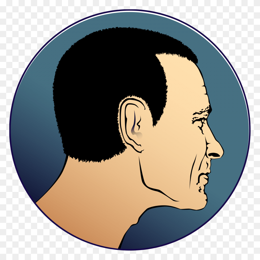 2400x2400 Png Изображение - Drake Face Man Profile Clipart, Head, Label Hd Png.