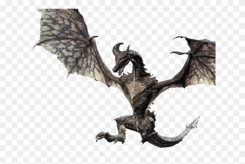 638x504 Drakon, Dragón Hd Png