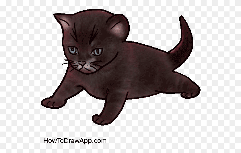 558x475 Draw A Black Kitten Black Kitten Drawing, Cat, Pet, Mammal HD PNG Download