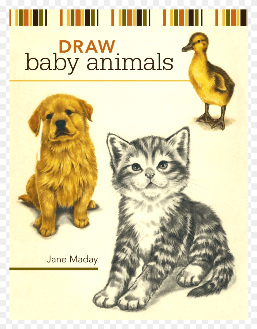 1060x1381 Draw Baby Animals, Bird, Animal, Cat HD PNG Download
