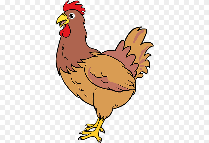 395x573 Draw Clipart Hen Chicken Drawing Clear Background, Animal, Bird, Fowl, Poultry Sticker PNG