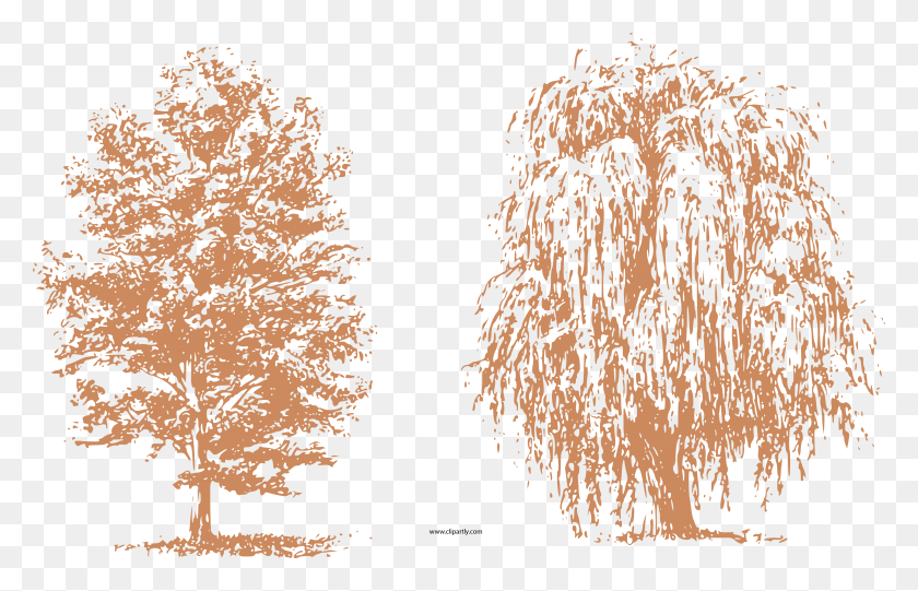 6230x3847 Draw Trees Clipart Dibujos Arboles Arquitectura, Text, Chandelier, Lámpara Hd Png