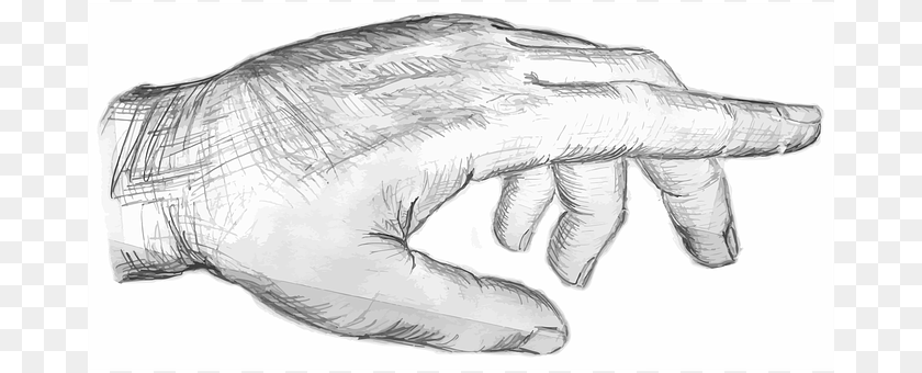 Drawing Art, Animal, Fish, Sea Life Clipart PNG