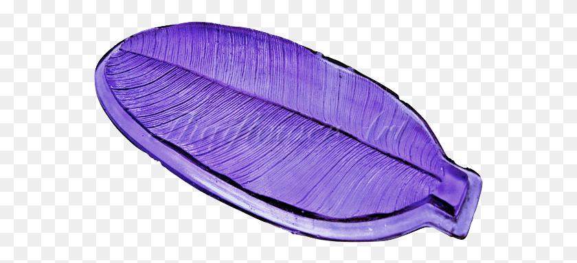 567x324 Drawing, Rug, Plant, Accessories HD PNG Download