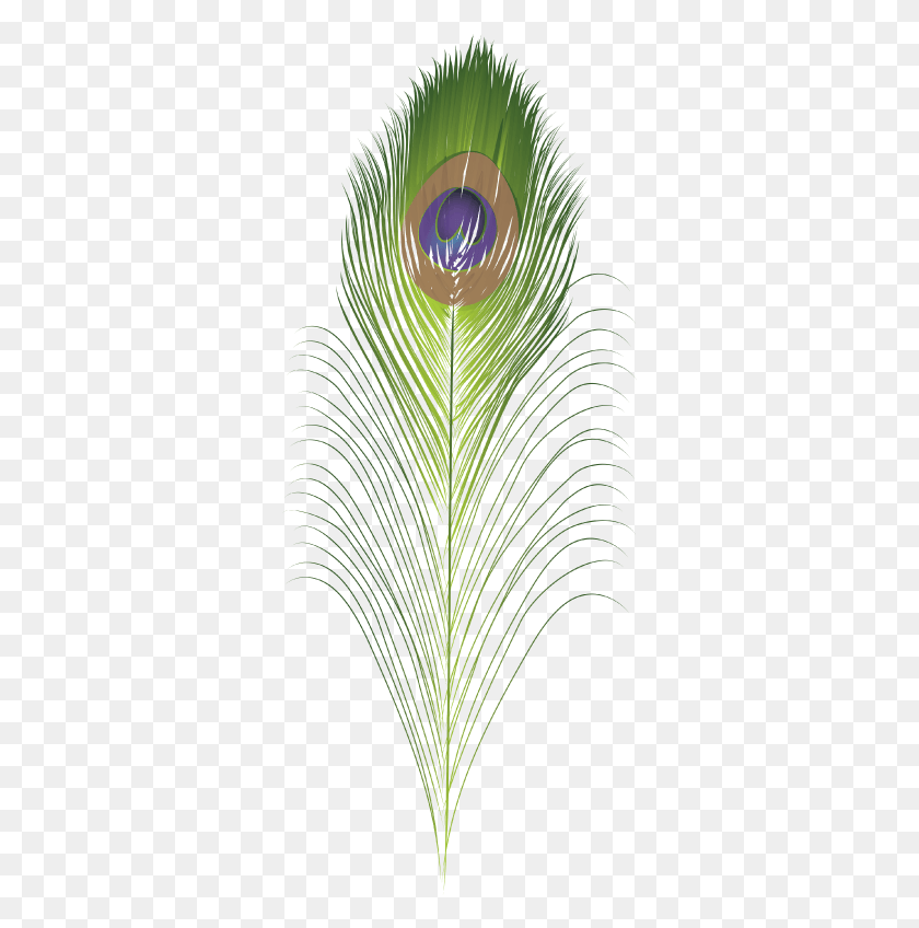 325x788 Drawing, Graphics, Green HD PNG Download