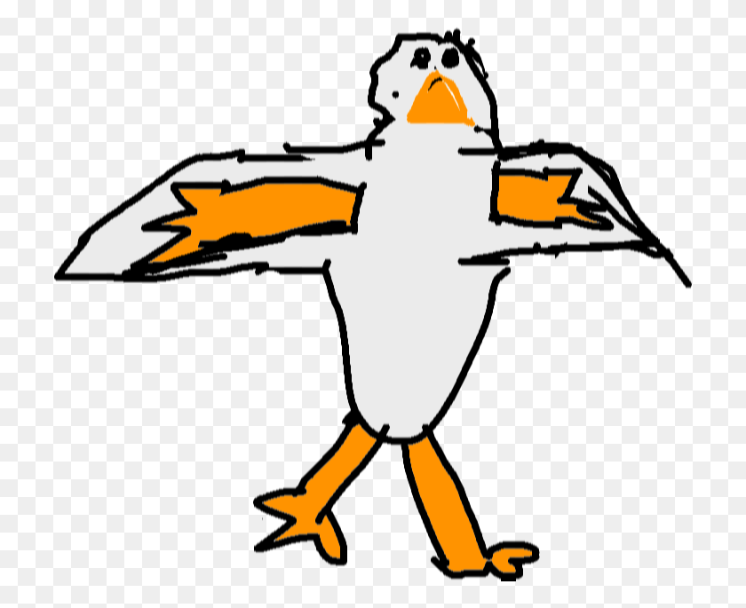 718x625 Drawing Bird, Animal, Penguin, Flying HD PNG Download
