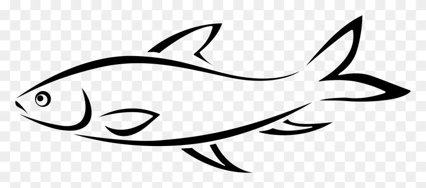 2290x918 Drawing Clipart Fish Line Fish Drawing, Gray, World Of Warcraft HD PNG Download