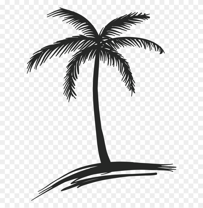 620x801 Drawing Coconut Arecaceae Tree Watercolor Painting Palm Tree Beach Drawing, Plant, Bird, Animal Descargar Hd Png
