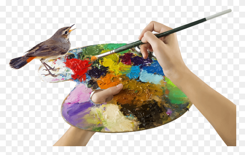 1060x640 Drawing Competition Poster Design, Bird, Animal, Paint Container HD PNG Download