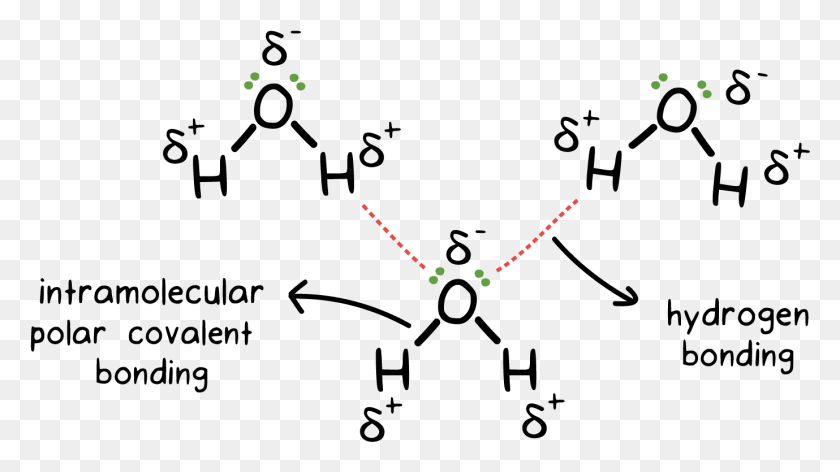1379x729 Dibujo De Enlace Covalente Enlace De Hidrógeno Intermolecular En El Agua, Pac Man, Accesorios, Accesorio Hd Png