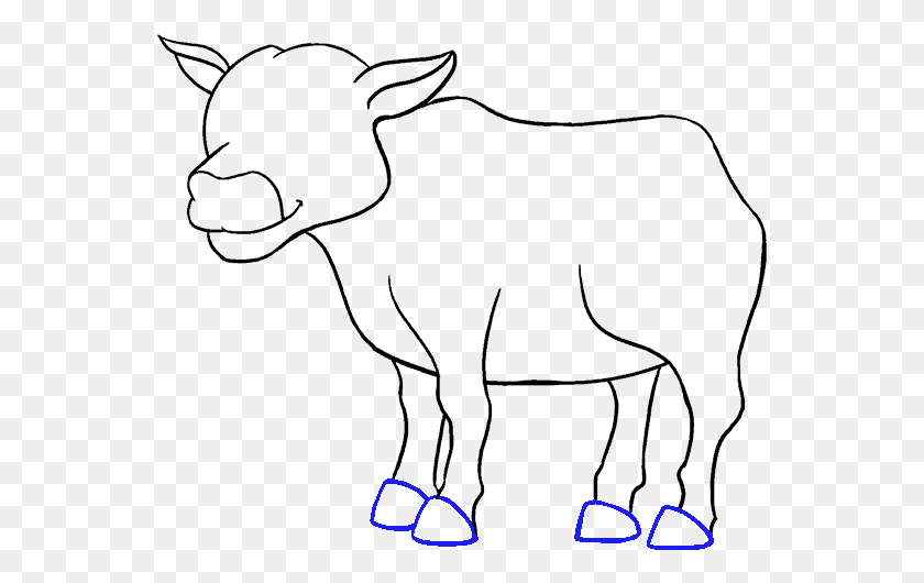 555x470 Drawing Cow Easy Easy Drawing Of Cows, Outdoors, Text, Light HD PNG Download