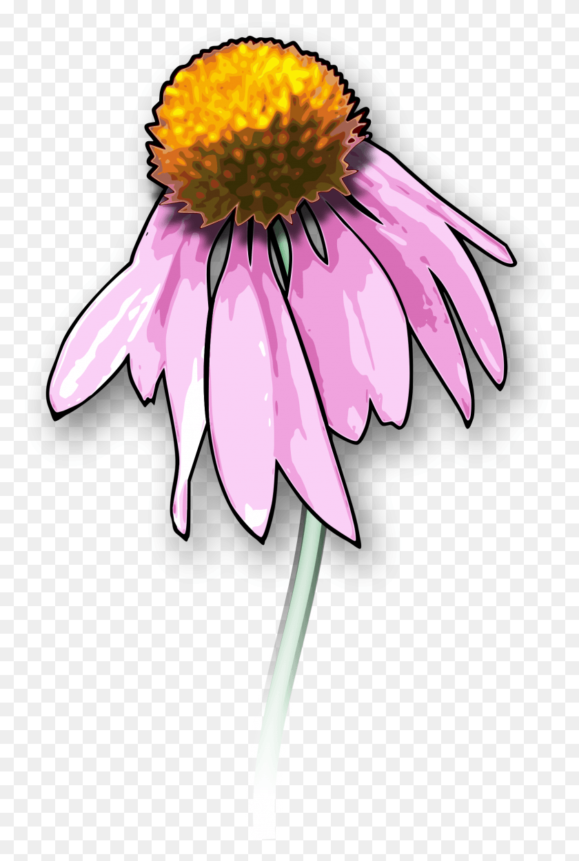 1572x2400 Drawing Death Dead Flowers Art Dead Flower Clipart, Plant, Daisy, Daisies HD PNG Download