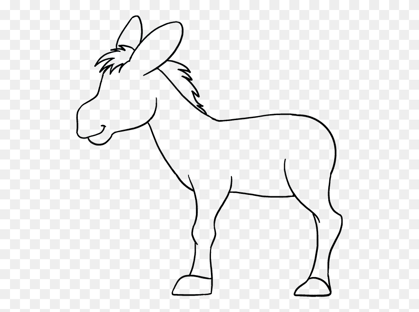 535x566 Drawing Donkey Face Donkey Drawing Easy, Mammal, Animal, Cat HD PNG Download