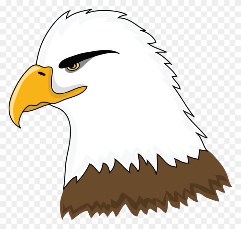 800x756 Drawing Eagles Cute Clip Art Bald Eagle, Eagle, Bird, Animal HD PNG Download
