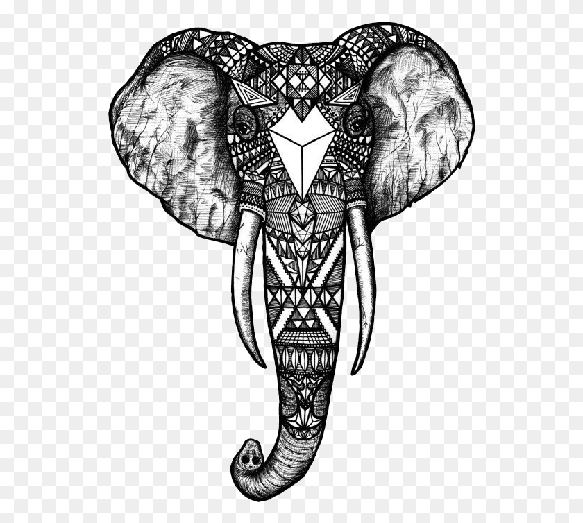 531x694 Drawing Elephants Pen Elephant Drawings, Emblem HD PNG Download