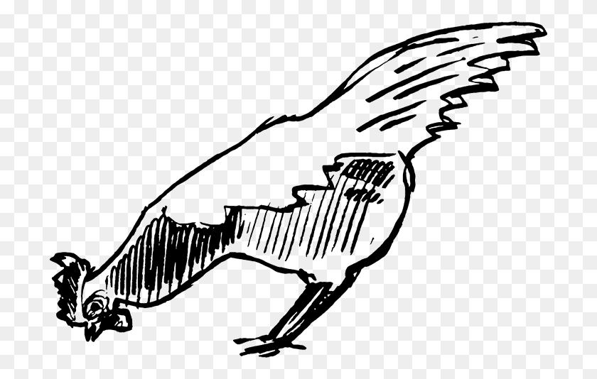 700x474 Drawing Farmer Chicken Illustration, Animal, Stencil, Bird HD PNG Download