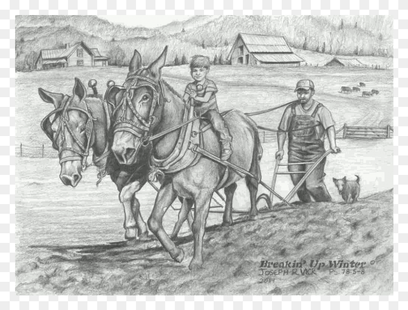 801x594 Рисунок Фермер Карандашом, Человек, Лошадь, Млекопитающее Hd Png Скачать
