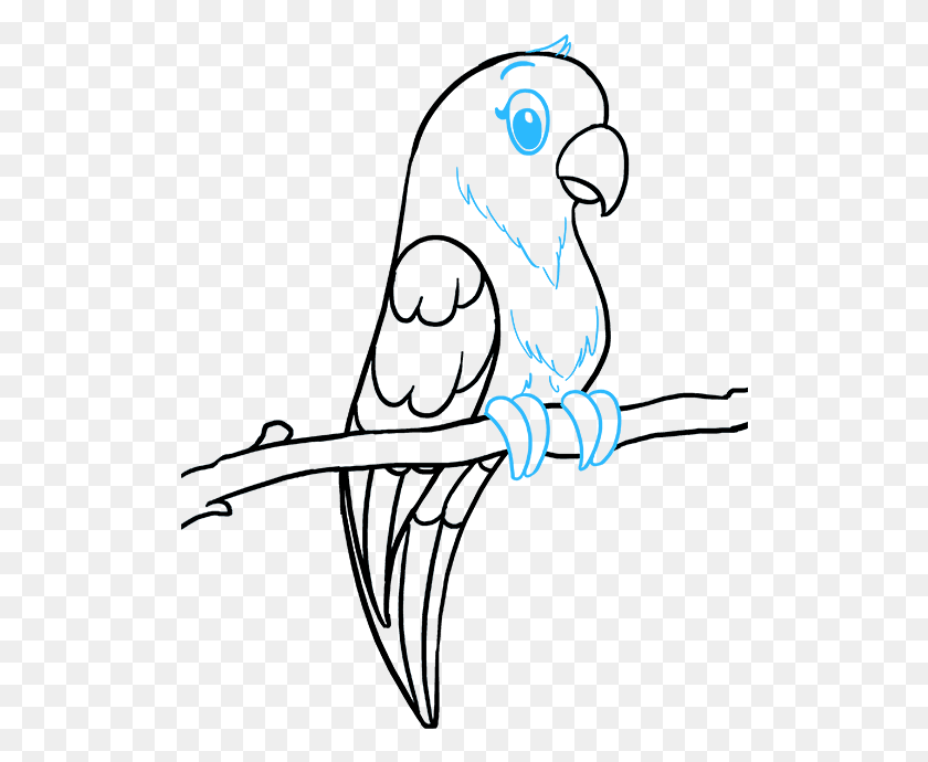 514x630 Drawing Feather Parrot Easy How To Draw A Parrot, Animal, Face, Mammal HD PNG Download