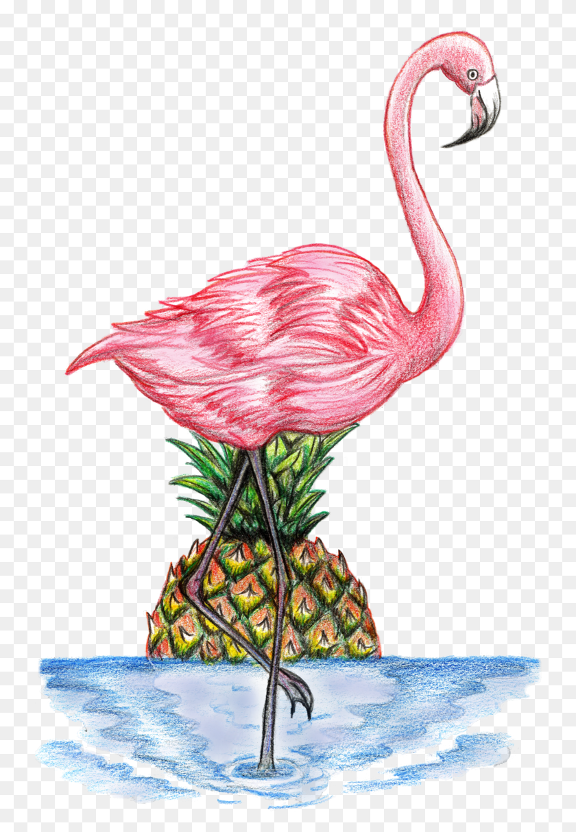 740x1154 Рисунок Фламинго Дибуджо, Птица, Животное, Цветок Hd Png Скачать